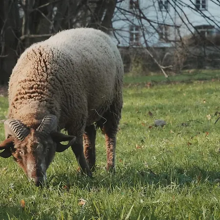 Hotel Schloss Wartegg Rorschacherberg