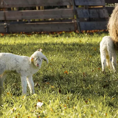 Schloss Wartegg Rorschacherberg