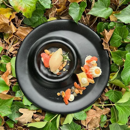 Schloss Wartegg 4* Rorschacherberg