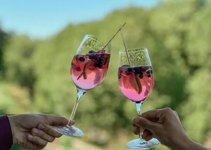 Schloss Wartegg Hotel Rorschacherberg