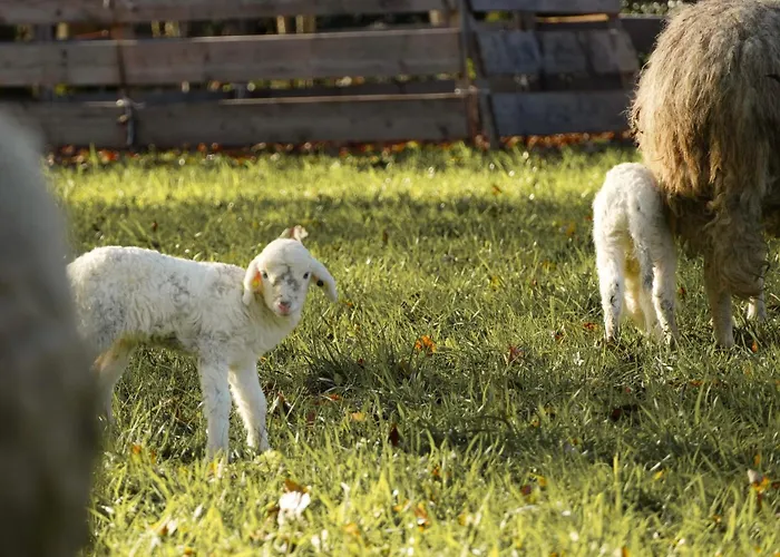 Schloss Wartegg Rorschacherberg