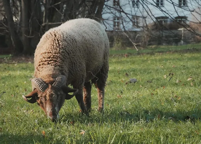 Hotel Schloss Wartegg Rorschacherberg