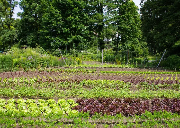 Schloss Wartegg Hotel